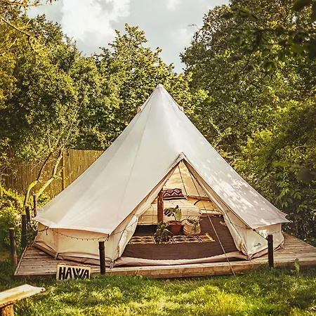 Glamping Hive Glamping *