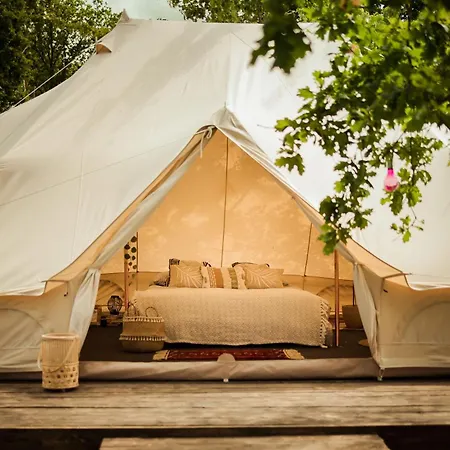 Glamping Hive Glamping *
