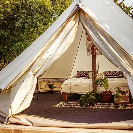 Glamping Hive Glamping *
