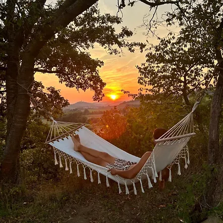 Glamping Hive *