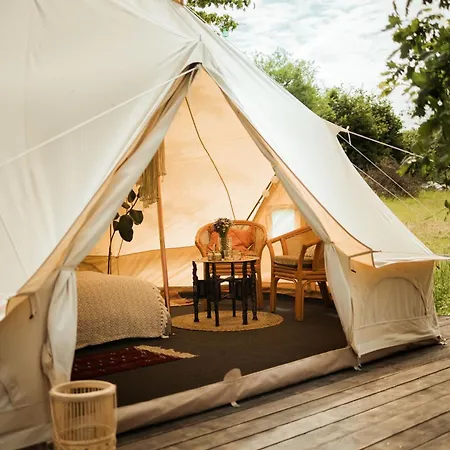 Glamping Hive