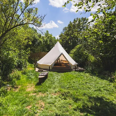 Glamping Hive Campo de lujo
