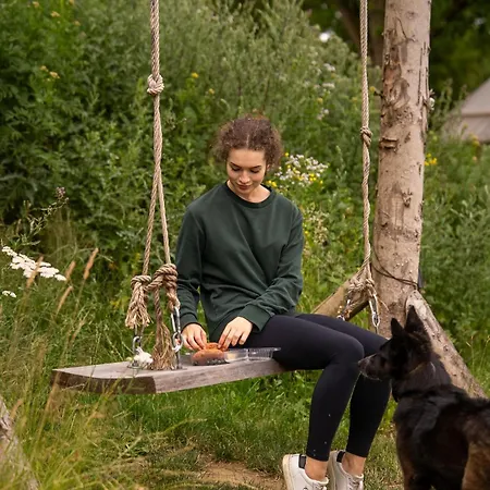 Glamping Glamping Hive