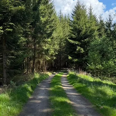 Glamping Hive * Cmeliny