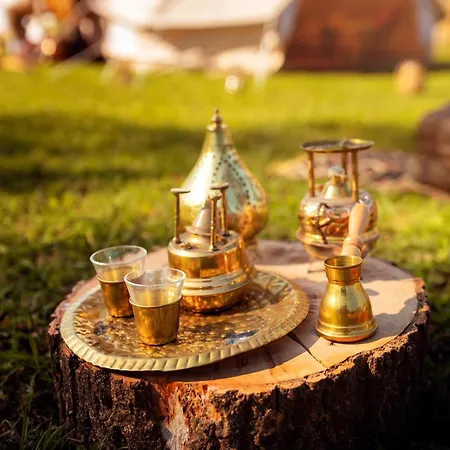 Glamping Hive *