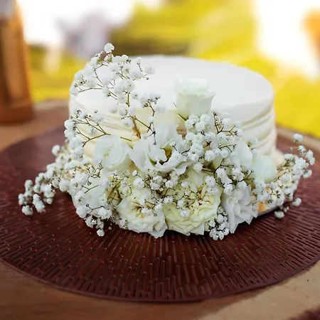 Glamping Hive Cmeliny