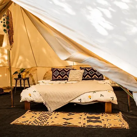 Glamping Hive Glamping