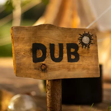 Glamping Hive Glamping *