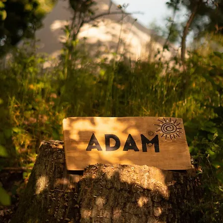 Glamping Hive * Cmeliny