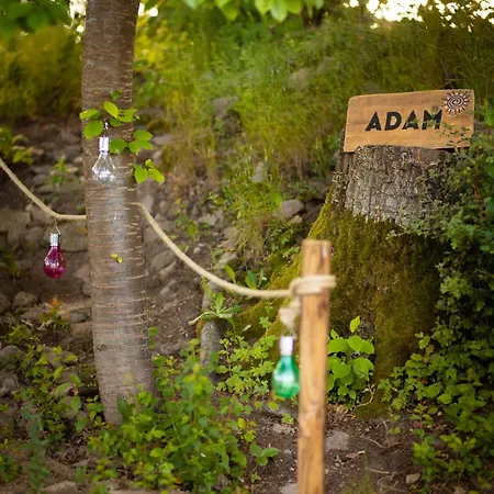 Glamping Glamping Hive