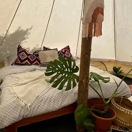 Glamping Hive *