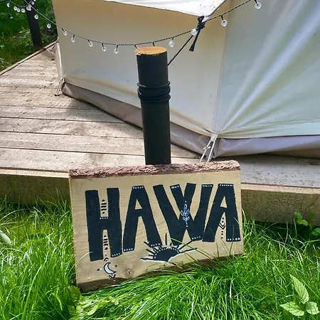 Glamping Hive