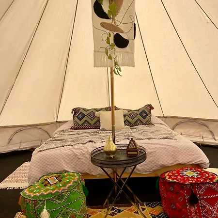 Glamping Hive