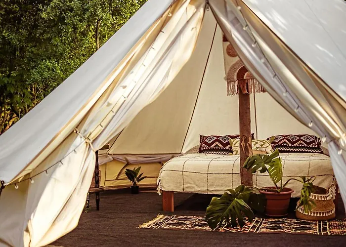 Glamping Hive Luxury tent *