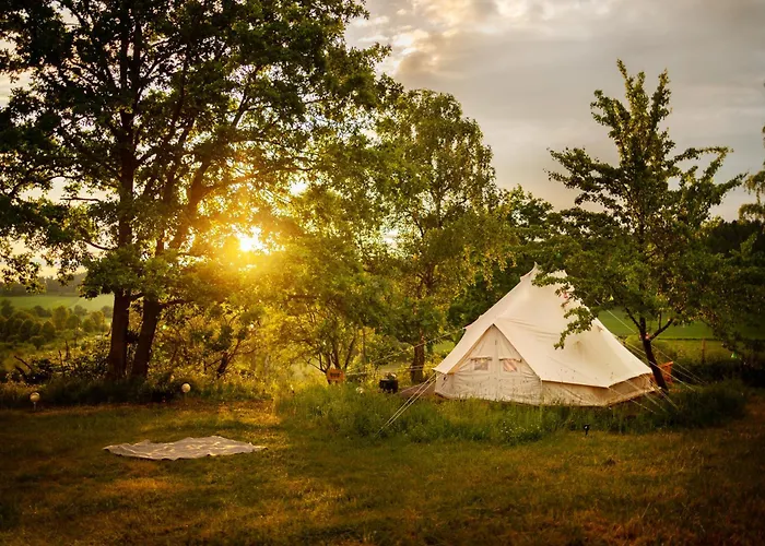Glamping Hive Luxury tent