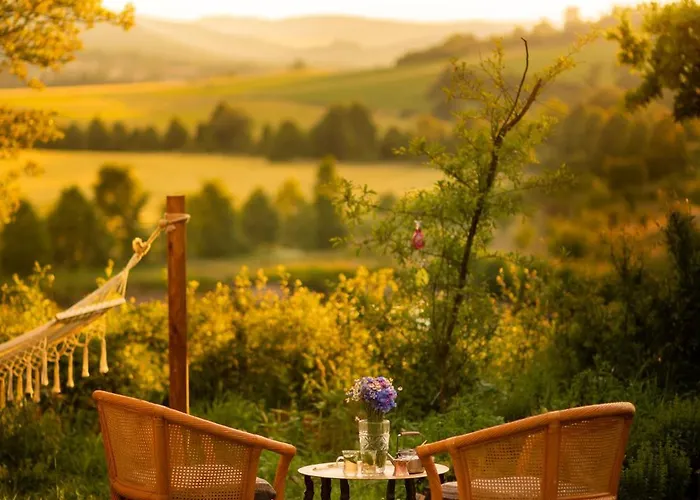 Campo de lujo Glamping Hive