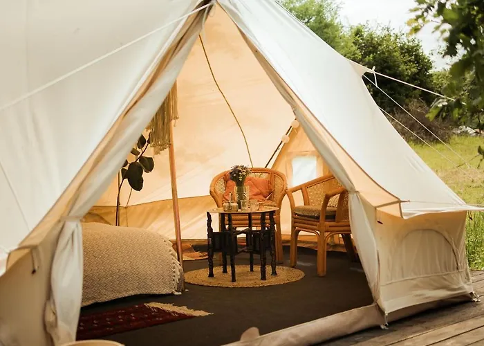 Glamping Hive