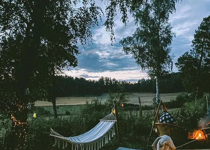 Campo de lujo Glamping Hive