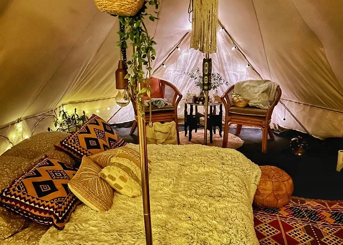 Campo de lujo Glamping Hive *