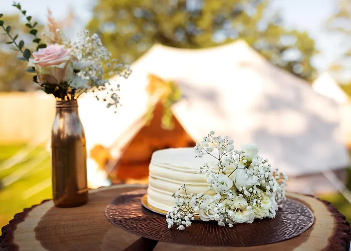 Campo de lujo Glamping Hive
